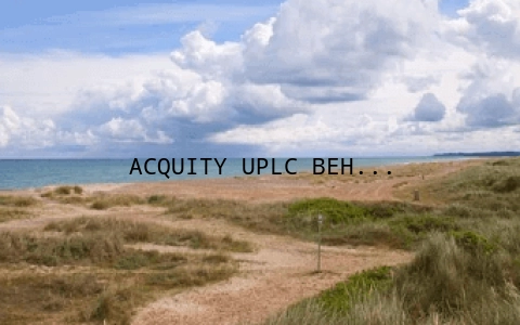 ACQUITY UPLC BEH C18色谱柱详解：如何成功驯服马