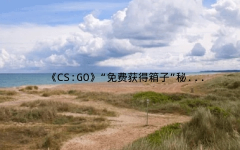 《CS:GO》“免费获得箱子”秘籍，打造独特装备轻松GET！